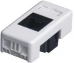 לא צוין במחירון שקע רשת גביס Cat5